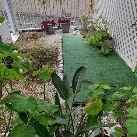 库里提巴Casa Inteira 2 Dorm Minimo 3 Dias别墅 外观 照片